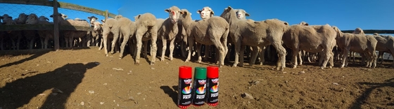 500 مللي Plyfit Sheep Marking Paint صديقة للبيئة اللون ذيل الحيوان بمناسبة رذاذ الطلاء