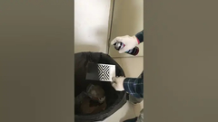 طلاء بخاخ الأكريليك للاستخدام الداخلي والخارجي يختلف درجة حرارة التطبيق