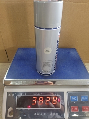 طلاء بخاخ معدني سريع الجفاف Siliver Color 300ml TUV صفيح